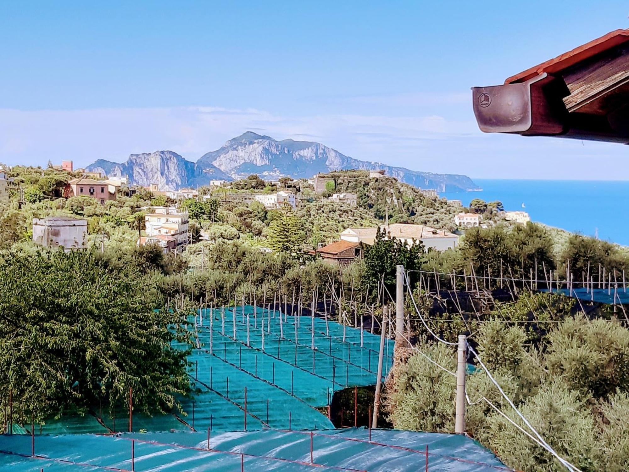 La Lobra Dependance Villa มัสซาลูเบรนเซ ภายนอก รูปภาพ