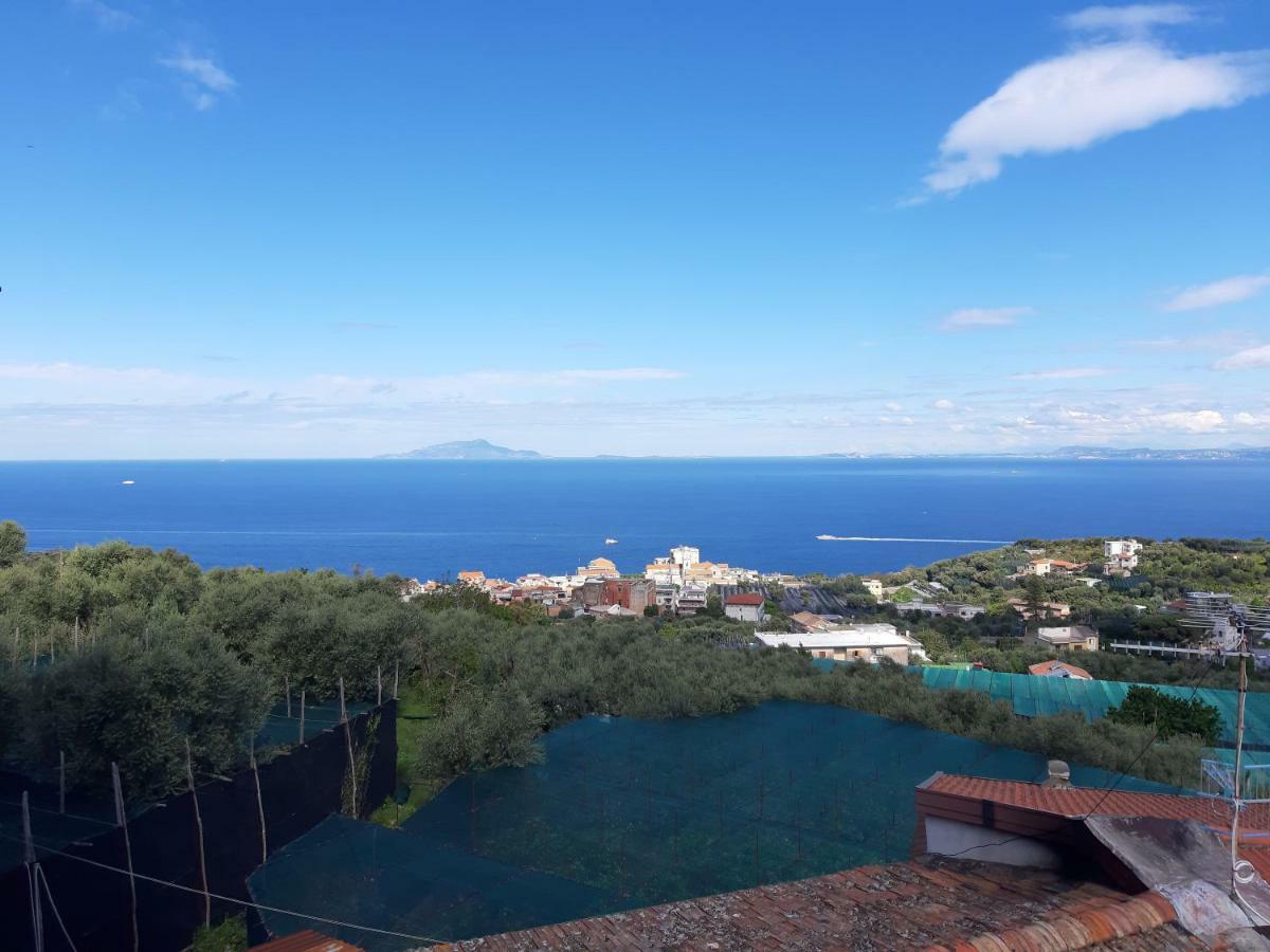 La Lobra Dependance Villa มัสซาลูเบรนเซ ภายนอก รูปภาพ